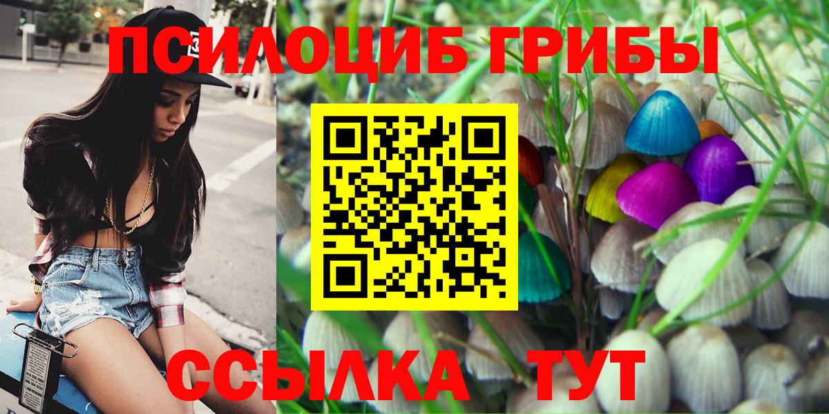 Псилоцибиновые грибы GOLDEN TEACHER Советская Гавань