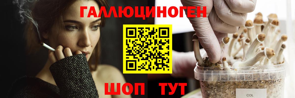 Псилоцибиновые грибы прущие грибы  Вход с VPN  Советская Гавань 